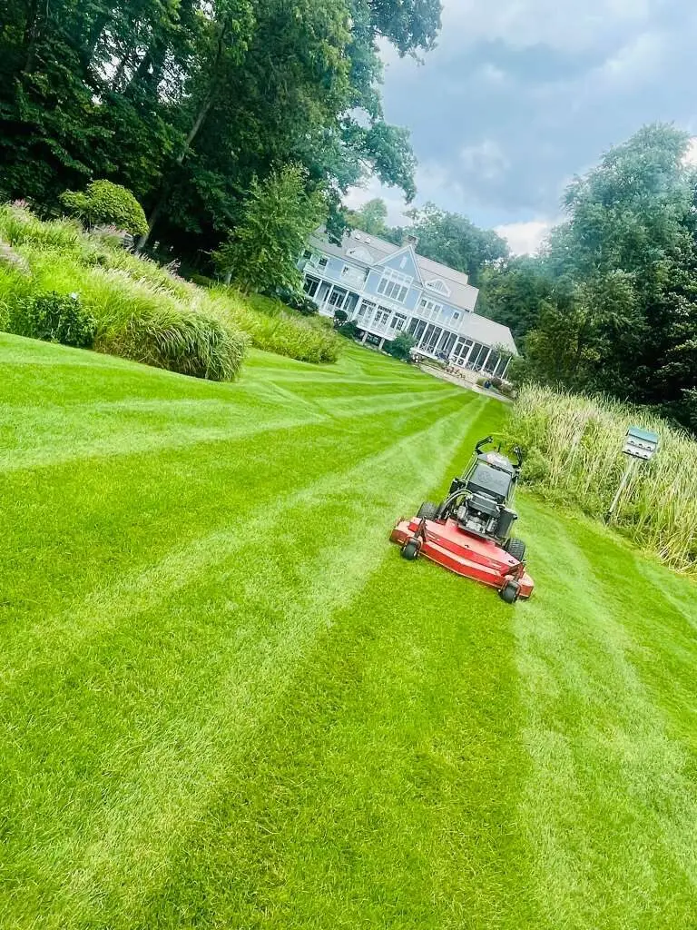 Lawn Mowing