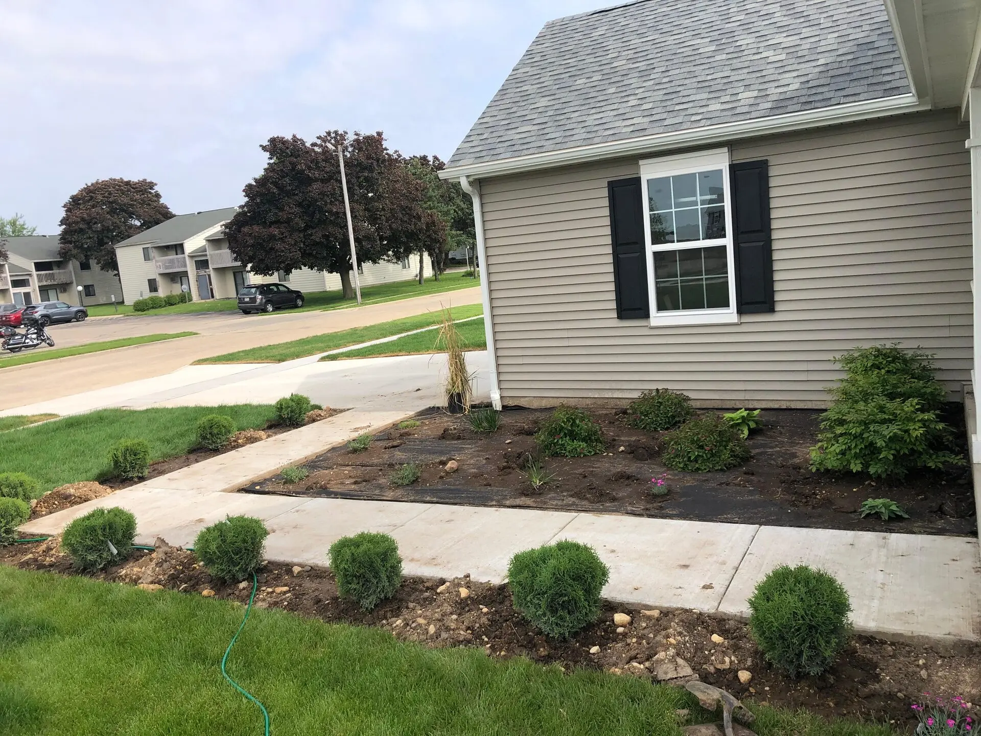 Landscape Planting 2