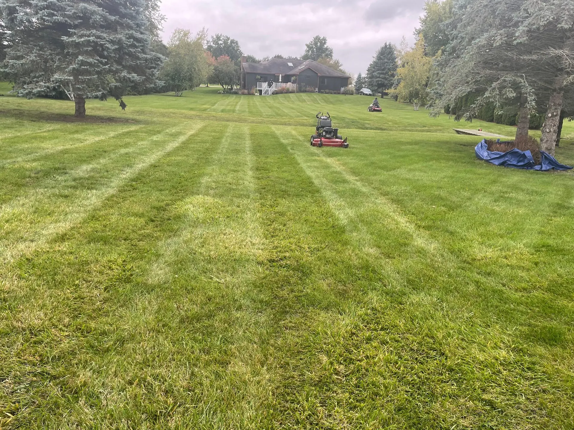 Lawn Mowing 4