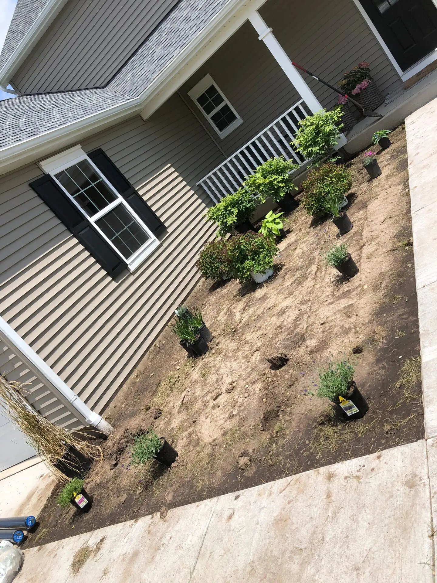 Landscape Planting